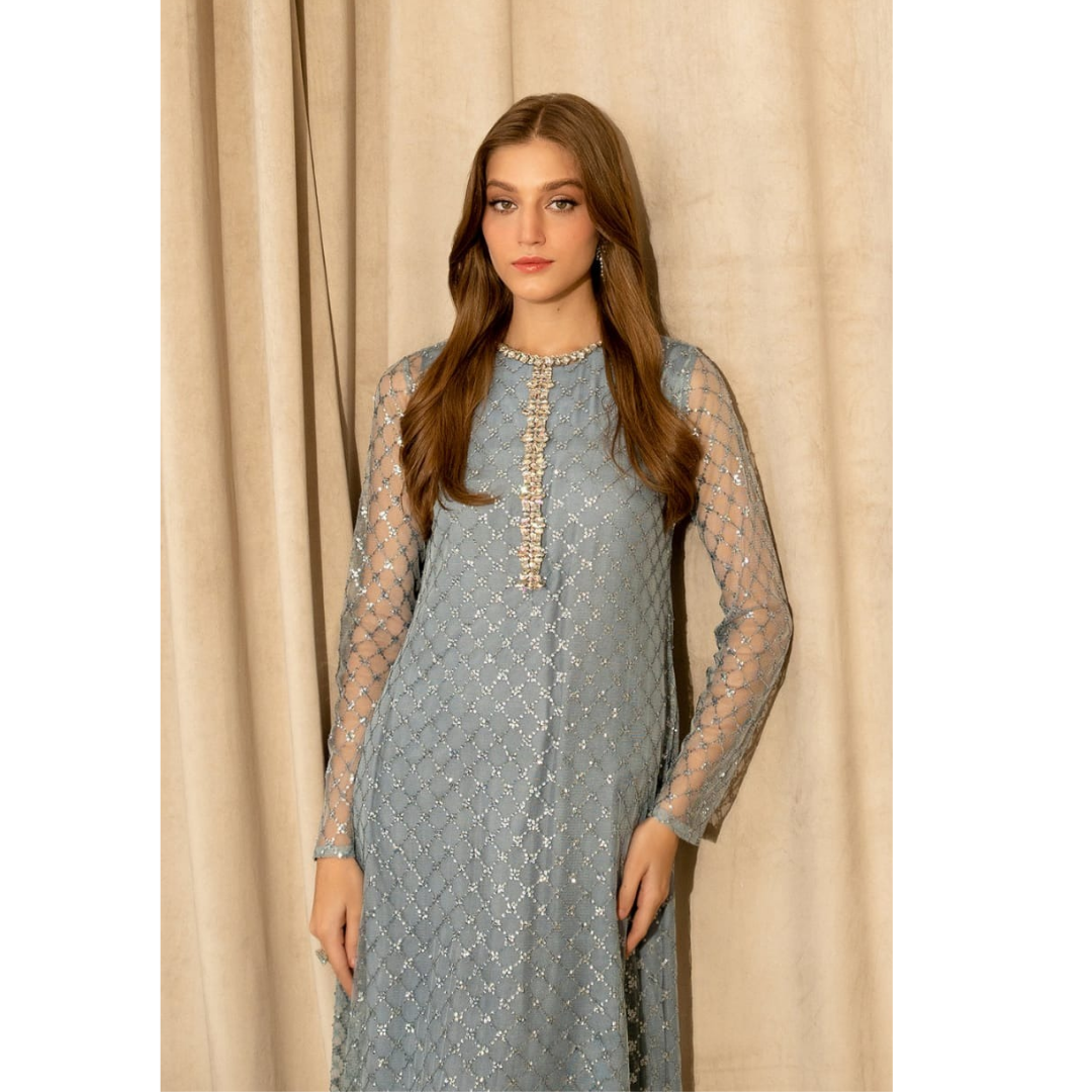 Lulusar Gray Soft Net Embroidery Luxury Collection 3piece Unstitched